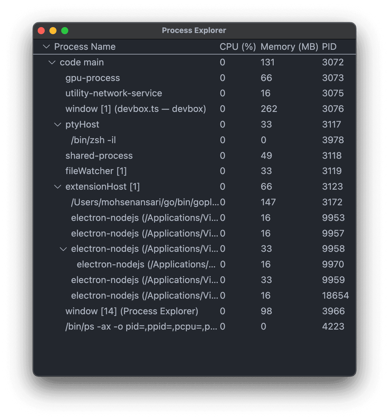 Process Explorer window from VSCode