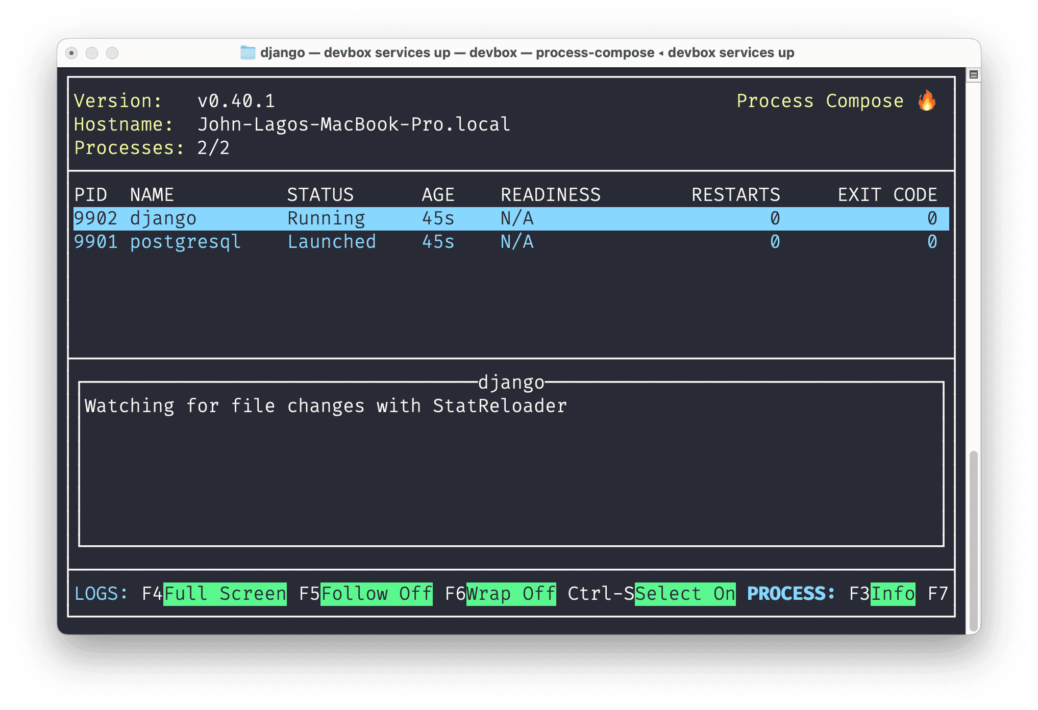 Screenshot of the Process Compose TUI