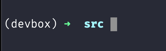 devbox shell indicator